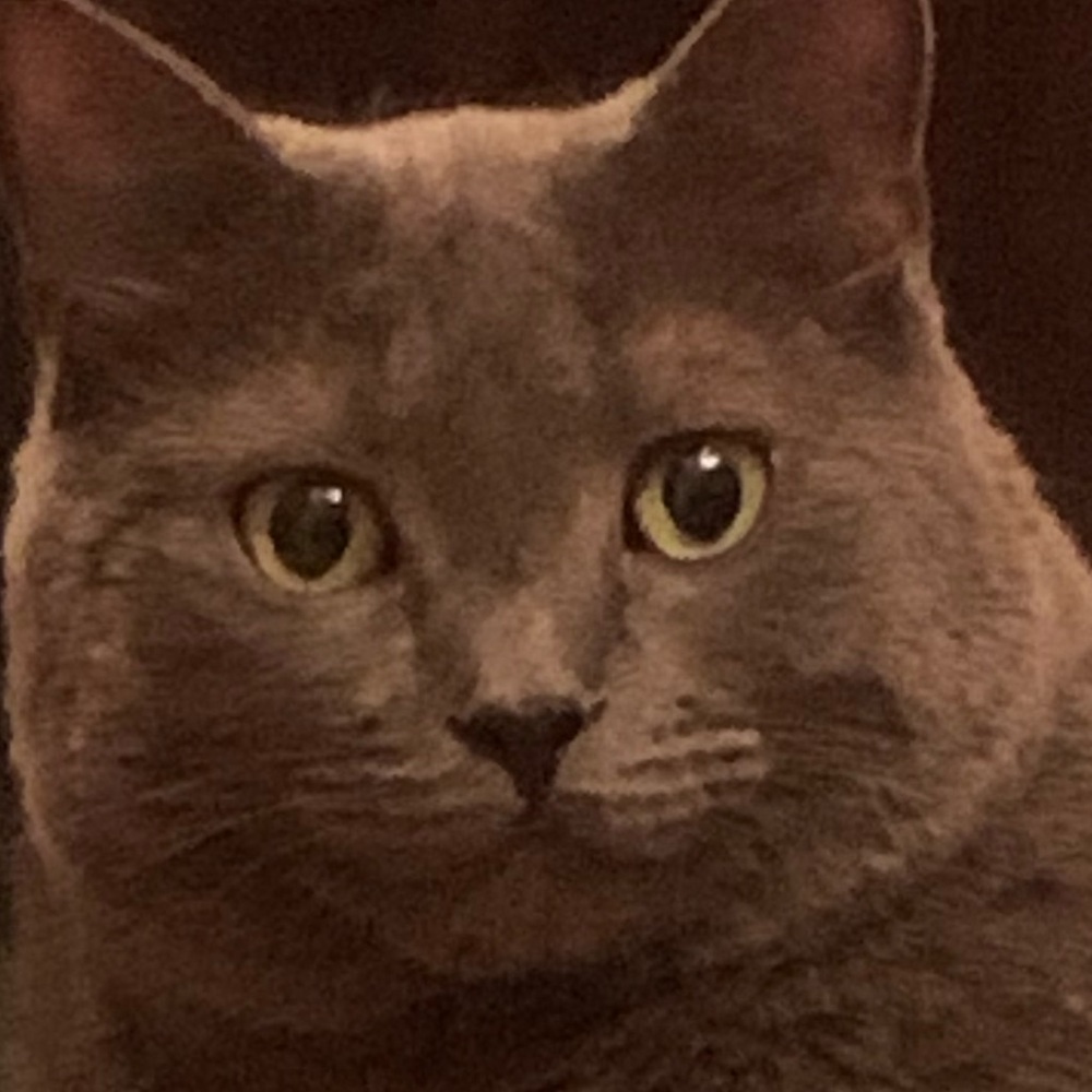 Meet your Posher, Bianca